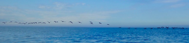 6FF5CA6F-16C1-483F-8029-A6F26CBE8FE1_1_105_c